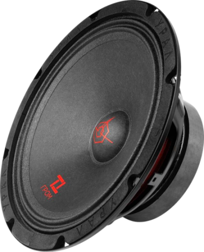 Динамики Урал ТТ 200 Гром