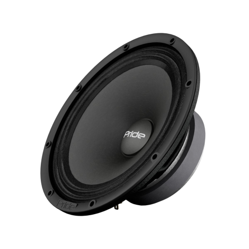 Pride Ruby Voice 6,5" v.2 эстрадная акустика