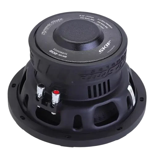 Dynamic State SKIF SKW-202