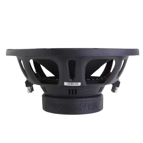 Dynamic State SKIF SKW-302 12" D2