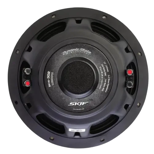 Dynamic State SKIF SKW-302 12" D2