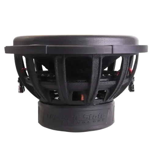 Dynamic State VIKING VSW-302 12" D2