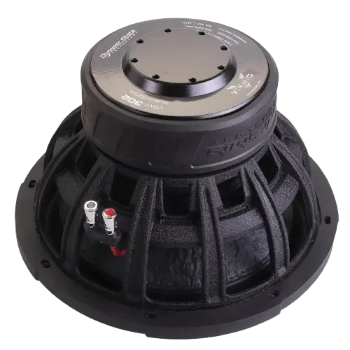 Dynamic State VIKING VSW-302 12" D2