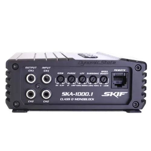 Dynamic State SKIF SKA-1000.1